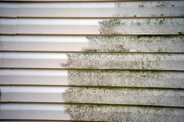 Best Residential Junk Removal  in Winston, OR
